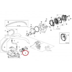 MAINFOLD, INTAKE TC 250