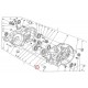 JUNTA CARTER 250-300-360