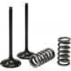 STEEL EXHAUST VALVE KIT  PRO-X KXF250 04-16