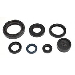 CONJ.VENDANTES MOTOR ATHENA YZ250 88-97