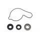 KIT REP BOMBA AGUA HOT RODS YZ-WR400/426/450F
