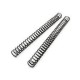 CONJ. MOLAS SUSPENSÃO 4.8 N/MM