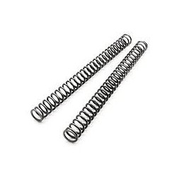 CONJ. MOLAS SUSPENSÃO 4.8 N/MM