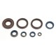 ENGINE SEAL KIT ATHENA HQ 250-300