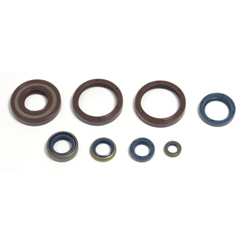ENGINE SEAL KIT ATHENA HQ 250-300