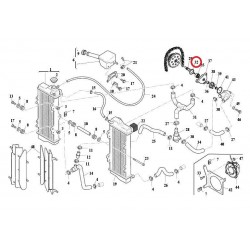 O-RING VEIO BOMBA AGUA.