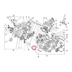 ROLAMENTO CAMBOTA 125