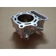 CYLINDER ASSY  TE-TXC-TC 250 - 800099801 - NO PISTON
