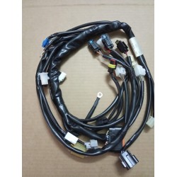 CABLAGEM TXC 250 2012