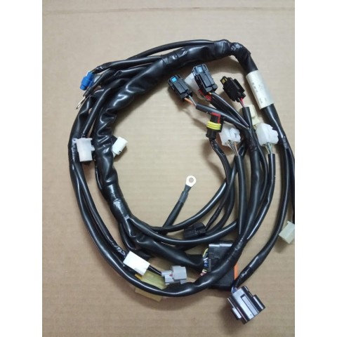 CABLAGEM TXC 250 2012