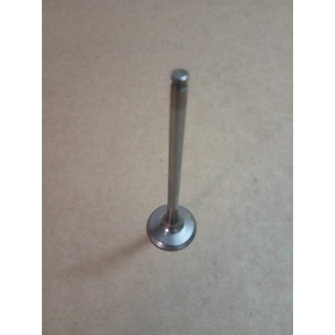 VALVE, EXAUST STEEL 250-310