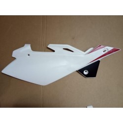 RIGHT SIDE PANEL 2010