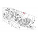 ROLLERS BEARING RNA4902