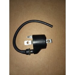 BOBINE VELA TC 250 09-10