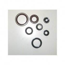 CONJ. RETENTORES MOTOR GAS GAS 200/250/300