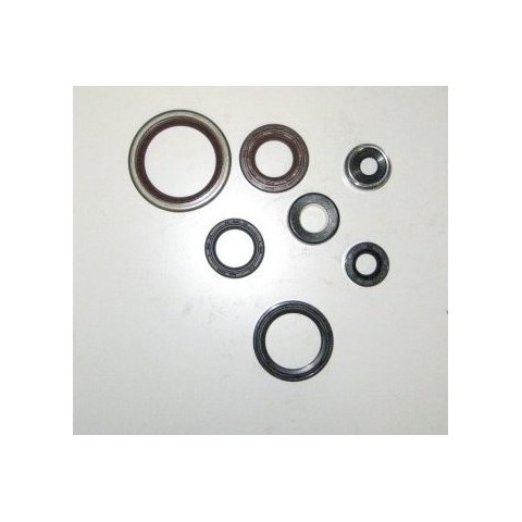 ENGINE SEAL SET GAS GAS 200/250/300