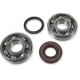 CRANKSHAFT BEARING + SEAL KIT ATHENA HUSQ 125