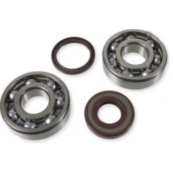 CRANKSHAFT BEARING + SEAL KIT ATHENA HUSQ 125