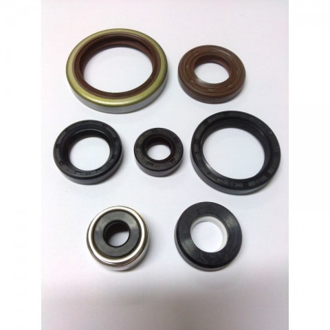 ENGINE SEAL KIT GAS GAS 125