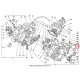 BEARING CLUTCH LEVER