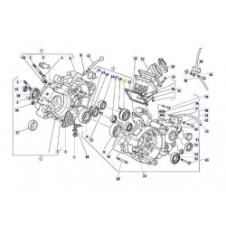 OUTPUT SHAFT BEARING 125