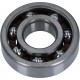 CRANKSHAFT BEARING 250-300