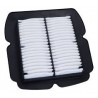 FILTRO AR RAPTOR 650 I.E