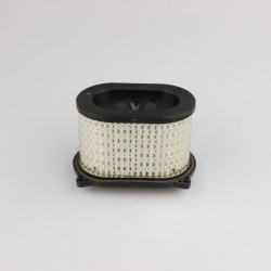 FILTRO AR RAPTOR 650 00-04