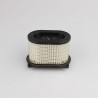 FILTRO AR RAPTOR 650 00-04