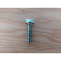SCREW TE M10X1.25X35 CH14