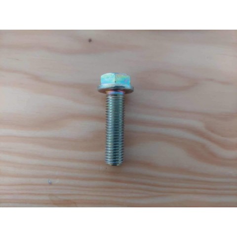 SCREW TE M10X1.25X35 CH14