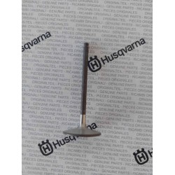 INTAKE VALVE 250-310 10-12