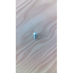 SCREW,  M6X1