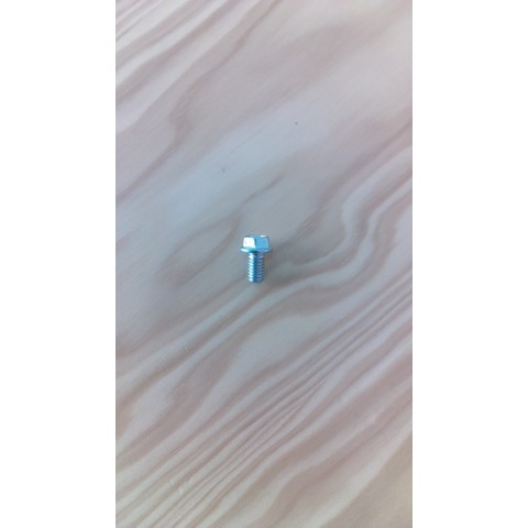 SCREW,  M6X1