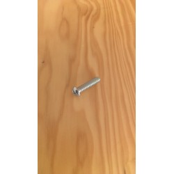 SCREW TBCE M6X1-L25