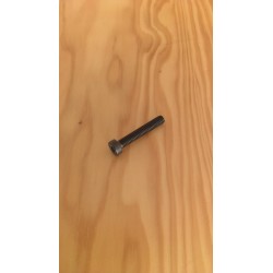 SCREW TCBCE M6X1 - L35