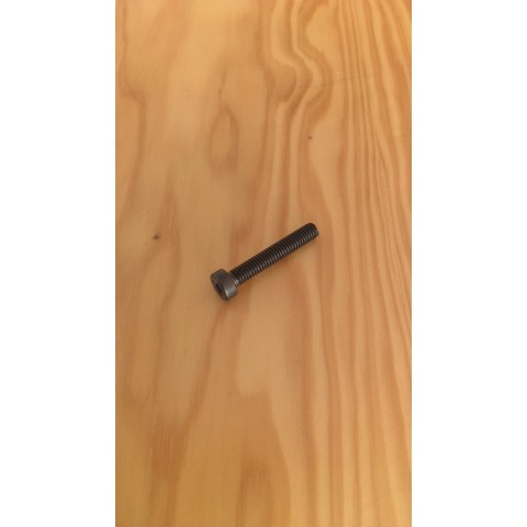 SCREW TCBCE M6X1 - L35