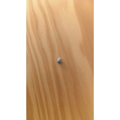 CAP, CIRCLIP