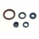 OIL SEAL SET 450-510