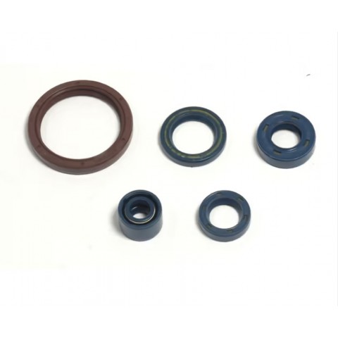 OIL SEAL SET 450-510