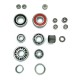CONJ.ROLAMENTOS MOTOR EC 250 300 01-20