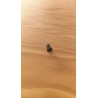 BUSH, SCREW, M4X0,7
