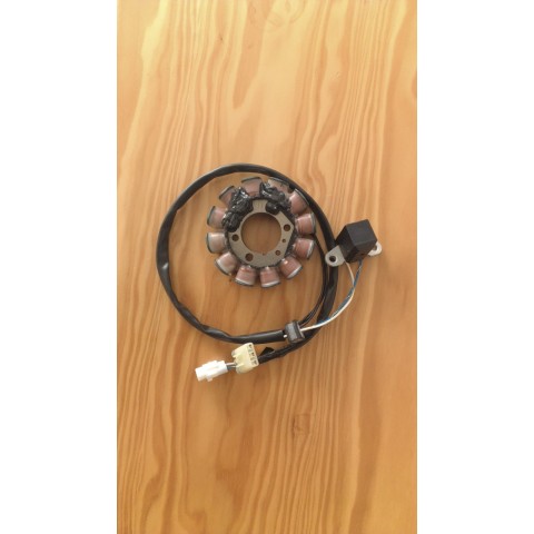 STATOR TE-TXC 250-310 13-14