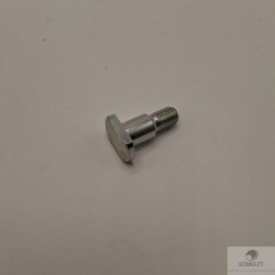 SPECIAL SCREW, REAR WHEEL HUB