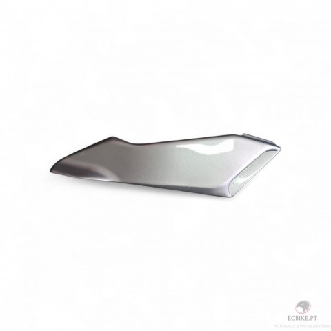 COVER, FRAME LH