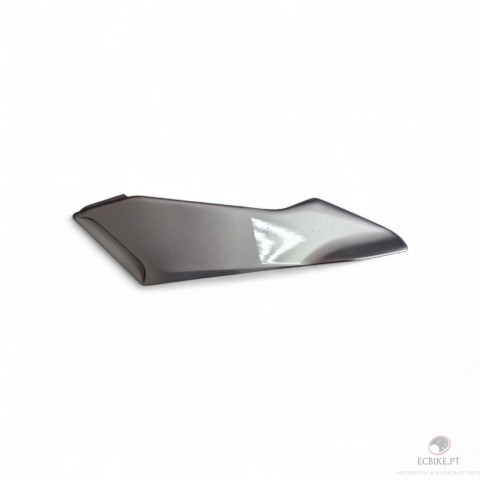 COVER, FRAME RH