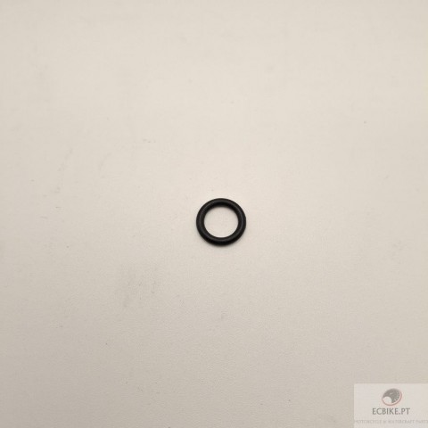 O-RING