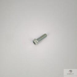 SCREW TCEIF M6X20 RT
