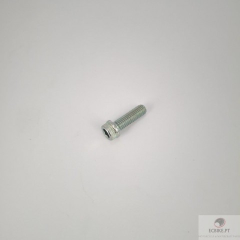 SCREW TCEIF M6X20 RT