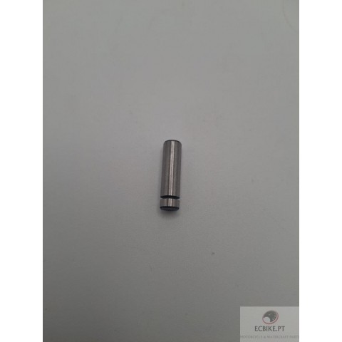 BEARING PIN D6-L20